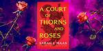 A Court of Roses and Thorns: a Cinematic Journey into Fantasy