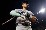 Aaron Judge: a Baseball Star Making History with the Yankees