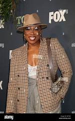 Aisha Hinds: a Rising Star in the Entertainment Industry