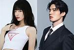 Bae Suzy Boyfriend: Unraveling the Star's Public Relationships