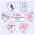 Did Jools Oliver Have Ivf? Exploring Her Fertility Journey