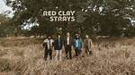 Discovering the Red Clay Strays: from Alabama Roots to Viral Success