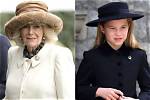 Does Princess Charlotte Curtsy to Queen Camilla? Unpacking Royal Protocol and Public Scrutiny