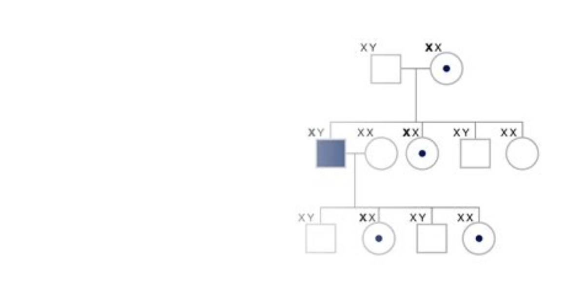 Erome Lexi2Legit: a Comprehensive Guide to Understanding the Phenomenon