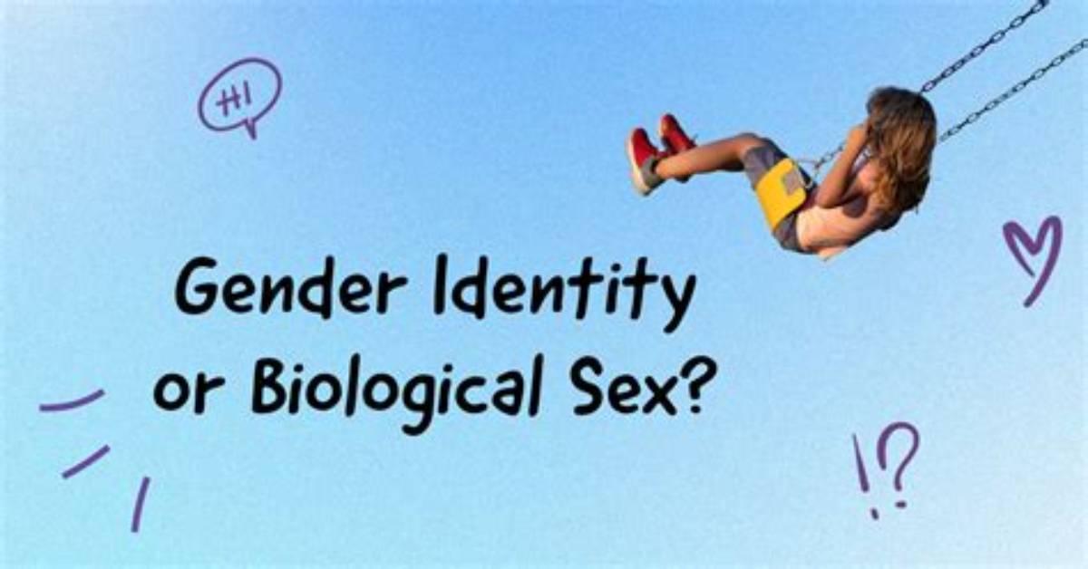 Examining the Gender Landscape: Biological Males in the Wnba