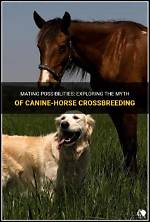 Exploring the Horse Mating System: What Every Owner Should Know