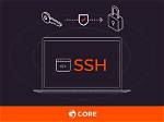 Iot Security: Mastering Ssh Remote Access for Your Devices