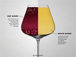 Is Red or White Wine Better for Weight Loss? Your Guide to Smart Sips