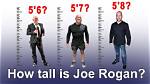 Joe Rogan: Exploring His Weight and Height - a Comprehensive Guide