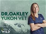 Michelle Oakley Yukon Vet: the Remarkable Journey of a Dedicated Veterinarian