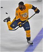 Raegan Subban: Biography of a Hockey Player and Social Justice Advocate