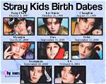 Stray Kids: Age, Birthdays & More! [Your Guide]