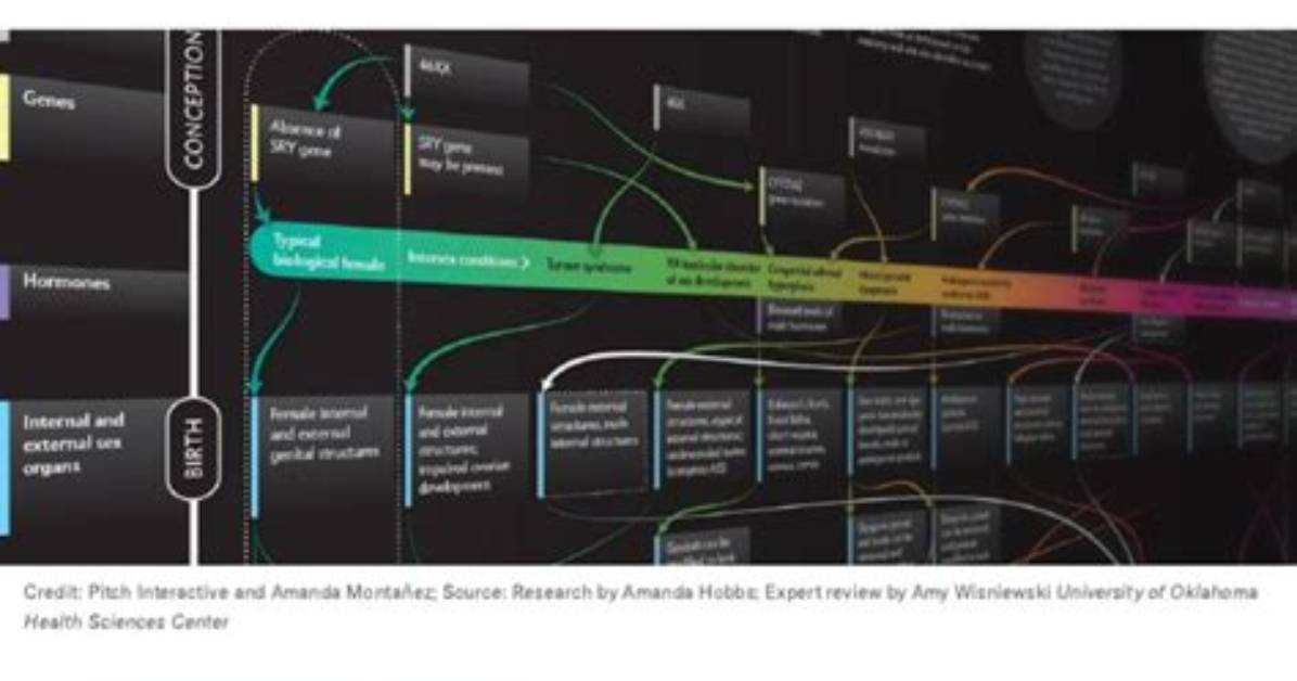 The Intricacies of Sex Mms: Understanding and Navigating the Digital Landscape