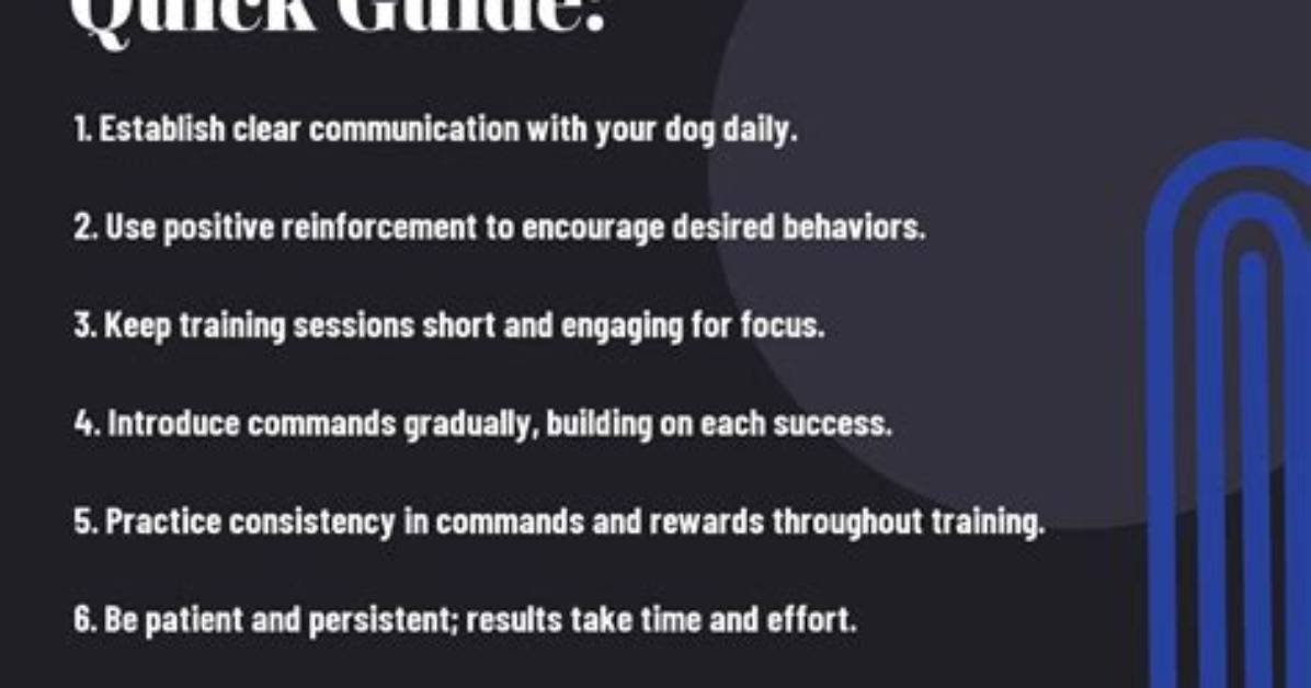 The Ultimate Guide to Dog Training: Techniques, Tips, and Tricks