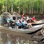 Uncovering the Real Lives of Swamp People: More Than Just a Show