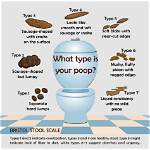 Understanding Pooping in Panties: Causes, Solutions, and Insights