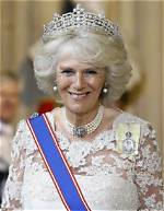 Understanding the Camilla Leak: a Deep Dive into the Controversy