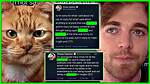 Understanding the Shane Dawson Cat Incident: a Look at Public Scrutiny and Apologies