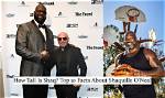 Unveiling the Enigma: Shaq Height in Feet and More