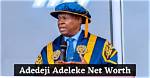 Unveiling the Wealth of Adedeji Adeleke: a Deep Dive into His Net Worth