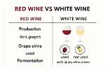 What Is Different Between White and Red Wine? Uncorking the Secrets