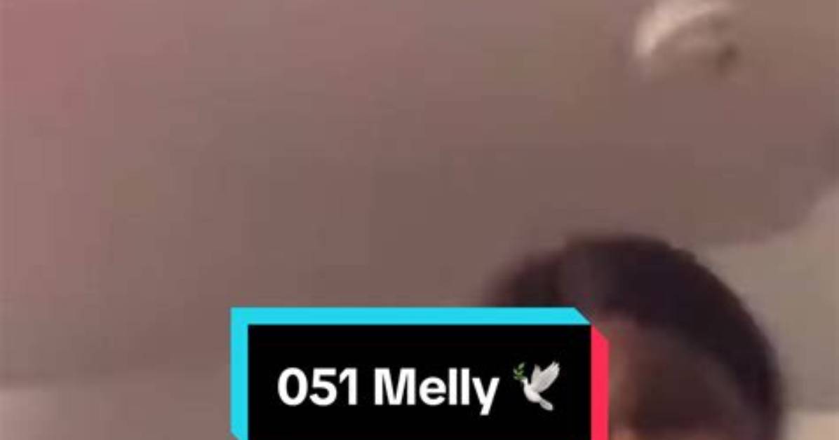 Who Is 051 Melly? Exploring a Public Figure's Path