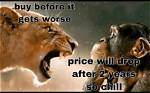 Why That Lion Yelling at Monkey Pic Gets Us Talking: a Look at Animal Communication